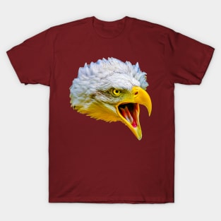 Bald Eagle T-Shirt